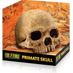 Exo Terra - Primate Skull / PT2855