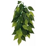 Trixie - Ficus 20 x 30 cm / 76239