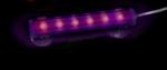 Arcadia - Dispozitiv 6 leduri iluminare acvariu culoare violet