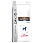 Royal Canin Gastro Intestinal Junior - 10 kg