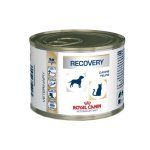 Royal Canin Recovery Canine/Feline - 100 g