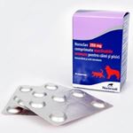 Noroclav 250 mg - 5 tab masticabile