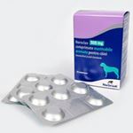 Noroclav 500 mg - 5 tab masticabile