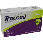 Trocoxil 95 mg - 2 tab