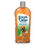 Church & Dwight - Fresh'n Clean Scented - 533 ml