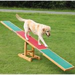 Trixie - Balansoar Dog Activity Agility Seesaw