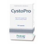 CystoPro - 30 tab