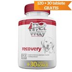 PetWay - Recovery - 120 tab