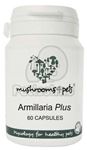 Armillaria Plus - 450 mg/60 buc
