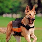 Ferplast - Rucsac Dog Scout