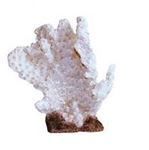 Croci - Coral 3 16 x 17,5 x 10 cm