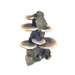 Enjoy - Roca cu ciuperci 14,5 x 9,5 x 18,5 cm