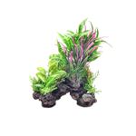 Enjoy - Trunchi cu plante 16 x 10 x 8 cm
