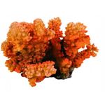 Trixie - Coral mic - 12 cm