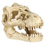 Trixie - Craniu de animale - 8-11 cm