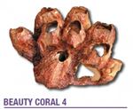 Wave - Beauty Coral 4