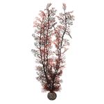 biOrb - Coral rosu XL