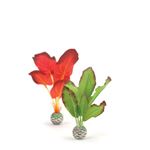 biOrb - Plante decorative pentru acvariu de dimesiuni mici