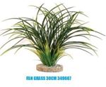 Sydeco - Fan Grass 30 cm / 349607 