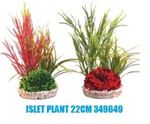Sydeco - Islet Plant 22 cm / 349649