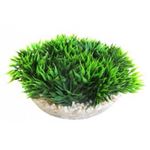 Sydeco - Medal-shaped Green Moss - 6 cm / 380340