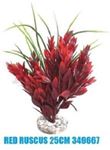 Sydeco - Red Ruscus 25 cm / 349667