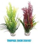 Sydeco - Tropica - 20 cm / 350107