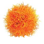 biOrb - Decoratiune bila acvatica din plante portocalie