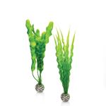 biOrb - Set decoratiune alge marine M