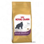 Royal Canin Adult 34 British Shorthair - 10 kg