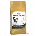 Royal Canin Adult Norwegian Forest - 10 kg
