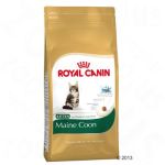 Royal Canin Kitten Maine Coon - 10 kg