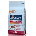 Advance Dog Adult - Miel si orez - 12 kg