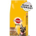 Pedigree German Shepherd - 15 kg