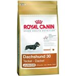 Royal Canin Dachshund (Teckel) Junior - 1,5 kg