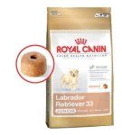 Royal Canin Labrador Retriever Junior - 12 kg