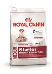 Royal Canin Medium Starter - 12 kg