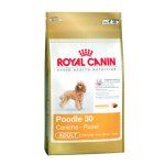 Royal Canin Poodle (Caniche) Adult - 1,5 kg