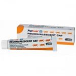 Aptus - Reconvalescent Cat - 60 g