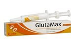 Glutamax Forte Cat - 15 ml pasta