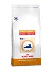 Royal Canin Senior Consult Stage 2 High Calorie - 1,5 kg