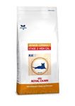 Royal Canin Senior Consult Stage 2 High Calorie - 400 g