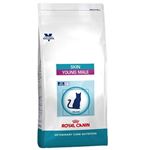Royal Canin Skin Young Male - 1,5 kg