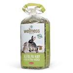 Wellness Grand Mix Alfalfa Hay - 500 g