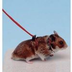 Ferplast - Lesa NY hamster