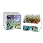Prodibio - BioKit Nano Reef - 30 fiole