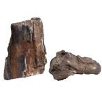 Aquadeco - S 043 Fossilized Wood 5-30 cm
