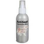 AntiSept - 100 ml