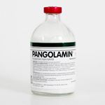 Pangolamin injectabil - 100 ml