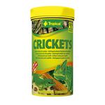 Tropical Cricket - 100 ml